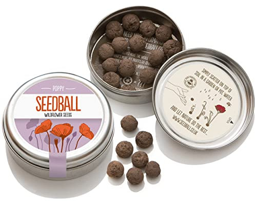 SEEDBALL Poppy Seed Bombs – 20 Seed Balls & Over 2000 Seeds Per Tin | Bee Friendly Red Poppy Flowers, British Wildflower Seeds for Bees, Butterflies & Garden Wildlife | Eco Friendly Gardening Gifts