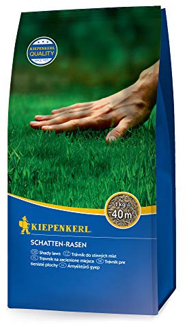 Rasensamen - Schatten-Rasen 1 kg von Kiepenkerl