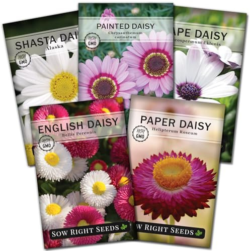 Sow Right Seeds - Daisy Flower Seed Collection for Planting - Attract Pollinators - Beautiful Annual and Perennial Flowers to Plant in Your Home Garden - Non-GMO Heirloom Seeds - Great Gardening Gift