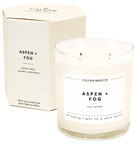 Calyan Wax Co. Aspen & Fog 2 Wick Scented Candle - 37 Hour Burn - Luxury Non Toxic Soy Wax Candles - Long Lasting Large Glass Jar Candle for Home - 8.8oz
