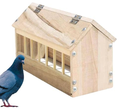 Scoiattolo casetta per mangimi resistente alle intemperie, 40 x 13 x 14 cm, mangiatoia per uccelli, design della casa, capacità, meno volatili per pollo, e anatroccoli