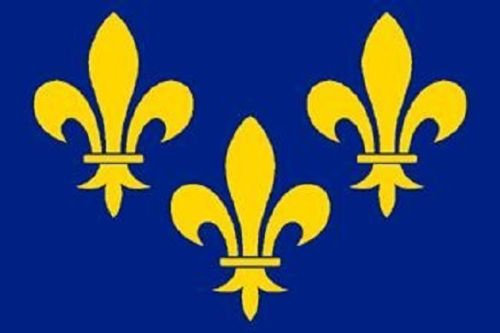 U24 drapeau motif fleur de lys 60 x 90 cm