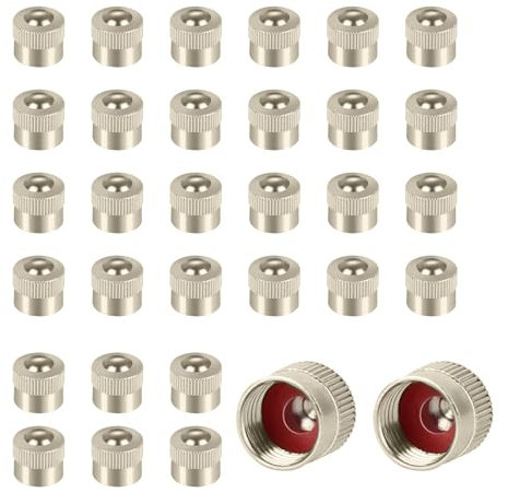 Aiyraa 32 Stück Ventilkappen Auto, Metall Ventilabdeckungen mit Gummidichtungsring, Staub- und wasserdichte Autoventil Kappen für Auto, Motorrad, Fahrrad, Roller, Auto Reifen Ventilkappen