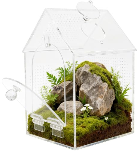 Terrario de araña de salto, faunario, apertura frontal, vivario con orificio de alimentación, terrario acrílico, para mantis religiosas, cangrejos ermitaños, caracoles y reptiles en miniatura, 12 x 12