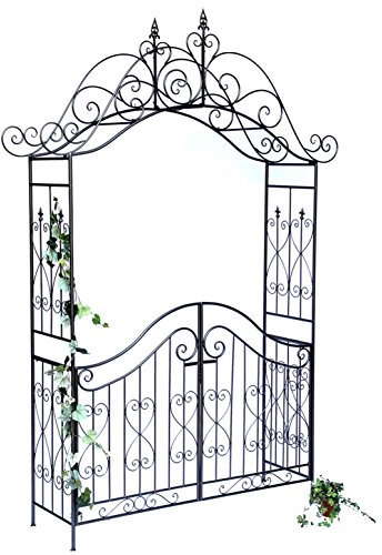 Arco di Rose con Porta Pforte 131872 in Metallo Cancello da Giardino 282x160cm Arrampicata-Robusta