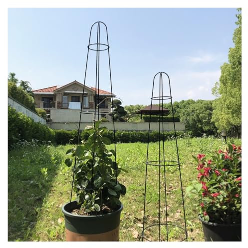 Lot de 2 obélisques de jardin pour plantes grimpantes de 96 cm de haut, support décoratif en métal noir pour plantes en pot, décoration de jardin