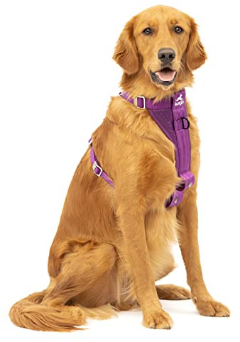 Kurgo Enhanced Strength Tru-Fit Hundegeschirr - Sicherheitsgeschirr für Haustiere auf Reisen - Crash-Test-zertifiziertes Design - An Fünf Punkten Verstellbar - Gepolsterte Brustpartie - Tintenblau - L