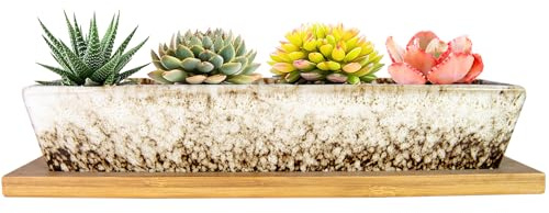 ARTKETTY Vasi per piante grasse in ceramica, vaso per bonsai rettangolare lungo con vassoio, mini fioriera per fiori di cactus con drenaggio per piante da interno/esterno (bianco)