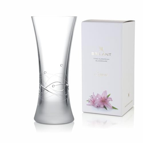BRILANT Chic Runde Hohe Kristall Vase Glas - Blumenvase Modern, Zylindervase, Durchsichtige Vase für Elegante Akzente (26 cm)