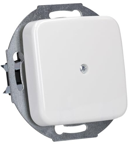 Busch-Jaeger 2527-214 Zentralscheibe mit Tragring Alpinweiß Reflex SI