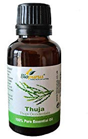 Biopurus 100% Pure Essential Thuja Oil 30ml Thuja Occidentalis