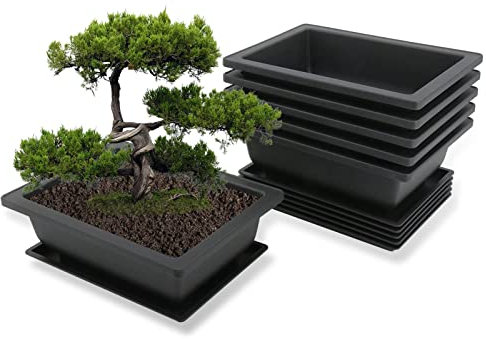 MissFox Bonsai Schale mit Untersetzer, Blumentopf Rechteckig aus Kunststoff, Bonsai Topf Set Pflanztopf für Garten, 6 Stücke Blumentöpfe Groß mit Tablett, 23x17x8cm