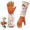 Gartenhandschuhe Thorn Proof, Thorn Proof Gartenhandschuhe, Langdornen -Proof -Punktionsbeständige Unterarmschutzhandschuhe, Gartenhülsen arbeiten nicht rutschfeste Schutzpalmen-gepolstertes Design