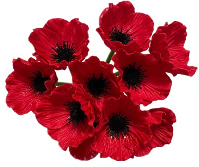 10 stjälkar 28 cm buketter konstgjorda blommor vallmoblommor, ingen blekning flerfärgad PU falska vilda blommor för köksbord bordsuppsats, hemgrönska bröllop håller blommor bakgrund båge vägg (röd)