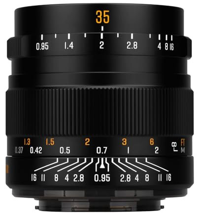 Brightin Star 35mm F0.95 Manual Focus Prime Lens for Panasonic LUMIX,Olympus Micro 4/3 Mirrorless Cameras, APS-C MFT Large Aperture Fixed Lens, Fit for G7, GX85, GX9, G95, GH5, GH6, G100, G9