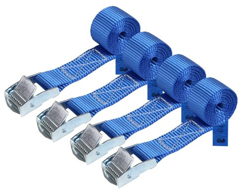 Cinghia di fissaggio Cinghie di tensione - blu - 2,5m 4m 6m - diverse quantità, sicura del carico resistenza fino a 250 kg DIN EN 12195-2, 4 pezzi 2.5 cm x 1 m