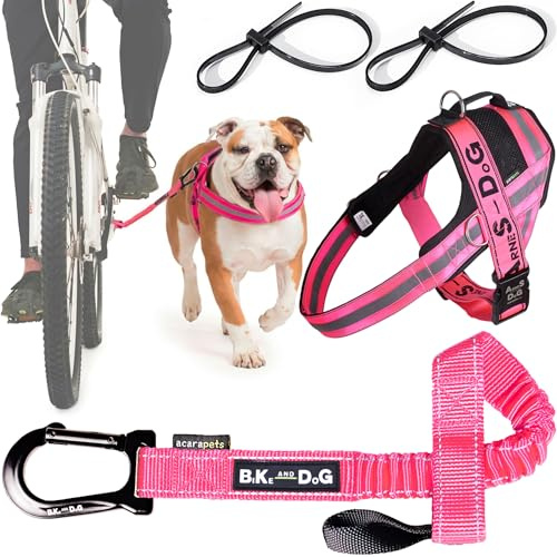 Laisse et Harnais pour Chien de vélo, Harnais avec Anneaux latéraux, Comprend 2 Sangles de vélo. Breveté. (Rose, XL)
