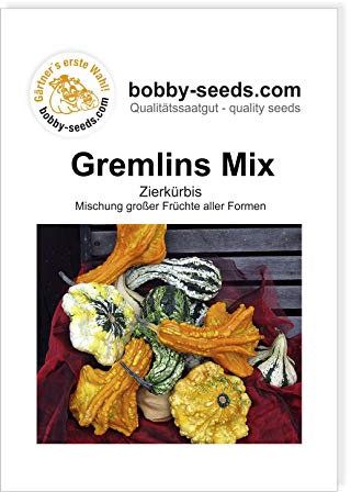 Bobby-Seeds Kürbissamen Zierkürbis Gremlins Mix Portion