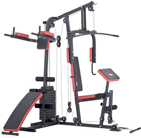 Hansson.Sports trainhard homegym Multi Station Remise avec 65 kg de Poids avec Dip Station, Jambe Hebe & Sit Up Banque