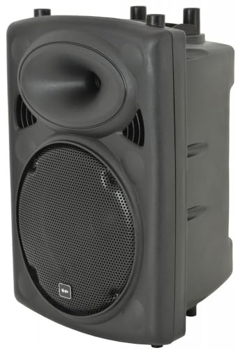 200W Active Speaker with Built-In Amplifier and Input Section
