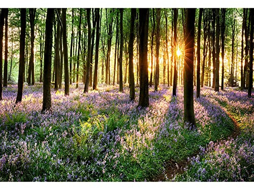 Aoihrraan 1,5 x 1 m violer skogsbakgrund lila blommor skog solsken park landskap fotografi bakgrund sommarsemester resor semester fest bröllop skytte porträtt tapet foto studio rekvisita