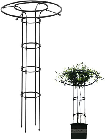 Jardín Superior Acero para Planta ES Escalador Celosía Obelisco Torre Jardín Soporte Escalada Metal Antióxido para Planta ES Exterior Verduras Frutas Vid