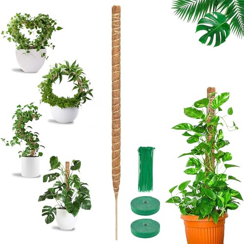 COZCLAM Monstera Rankhilfe, 1 Stück 160cm Kokosstab Pflanzenstab Monstera, Moosstab für Monstera für Indoor Kletterpflanzen, Rankhilfe Zimmerpflanzen für Kletterpflanzen, die nach Oben wachsen