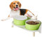 Hunde Napfset Hundenapf Set Erhöht - Doppelnapf Keramik mit Spritzschutz Ständer - Bunte Spirals Hundenäpfe für Futter und Wasser - Ideal für Kleine bis Mittelgroße Hunde - 2 x 800 ml - Grün