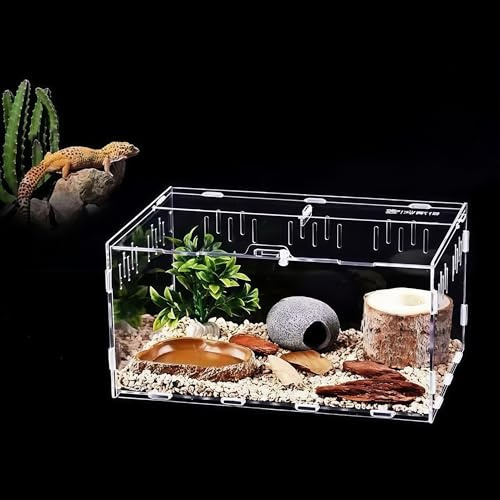 GOVNPJ Caja de Transparente Transporte de Acrílico,Terrario de Caracoles,Caja de alimentación para Reptiles, Reptiles Portátiles de Alimentación de Insectos (30cm x 20cm x 15cm)