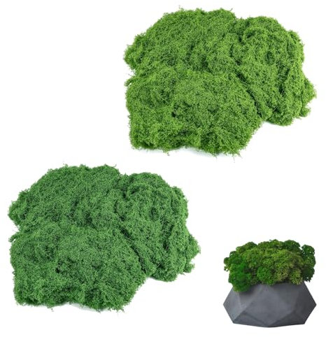 Ksvaye Islandmoos Künstliches Moos in 100g, Kugelmoos Konserviert, Kugelmoos Konserviert, Fake Moos zum Basteln, Natürliche Wiederverwendbare für Deko Modellbau Heimdekoration