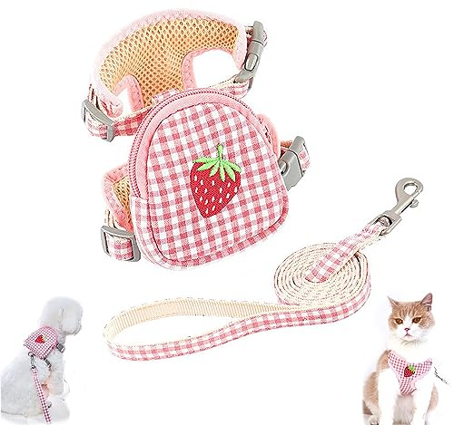 Pettorina Cane Gatti Taglia Piccola, Anti Tiro Pettorina Cani con Guinzaglio, Traspirante Imbracatura Grazioso Modello a Fragola Cane Regolabile Imbottito per Cani Gatti Cuccioli Taglia Piccola, S