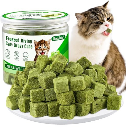 Glaublieb 50g Bastoncini di Erba Gatta Liofilizzato, Snack per Gatti Erba Gatta per Gatti Pronta per Elimina Boli di Pelo e Pulizia dei Denti