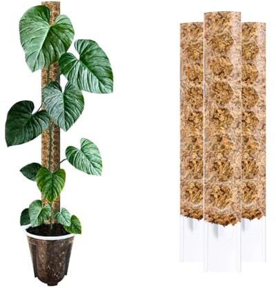 Nils der Växtfreund® mosspinne [PlantScraper] 20 cm (XS)/10 stycken/klar | växtpinne | Moss Pole | Spaljstav | utbyggbar mossa | mossa stavar | plantstolpe inomhus | mossstav för monstera