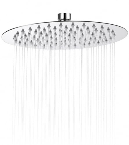 High Pressure Fixed Rainfall Shower Head - Adjustable Overhead Rain Shower Heads 8 inch - Large Round Waterfall Shower Top Spray Head - Replacement Chrome Showerhead G1/2 Fitting