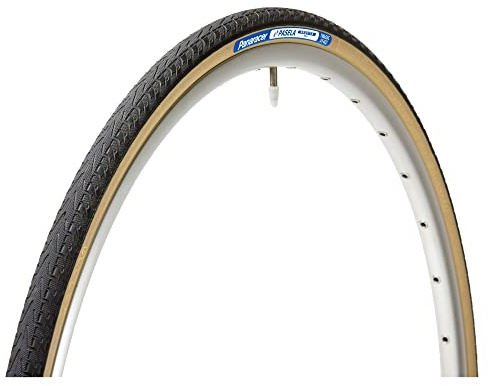 Panaracer Pasela ProTite x fällbart däck