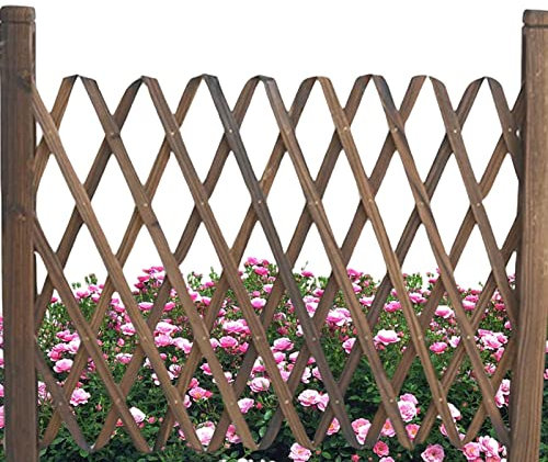 Treillis extensible extérieur - Mur de jardin pliable - Treillis de plantes rétractable - Clôture de jardin rétractable pour plantes grimpantes - Décoration pour maison, cour, jardin, intérieur