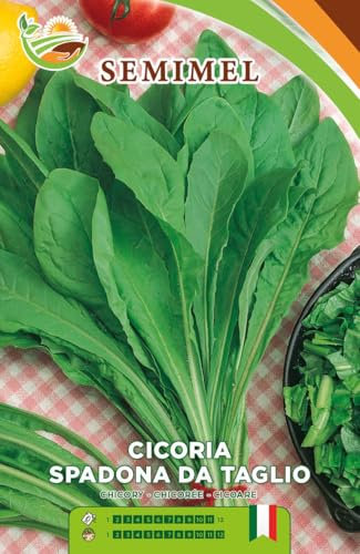 Cicoria Spadona da Taglio- Semi Ortaggio a Foglie Strette, Facile Coltivazione Tutto l'Anno, Raccolto Stagionale 1 confezione
