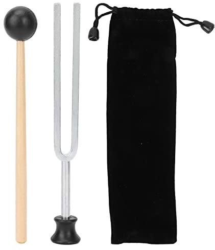 Diapason 256Hz, Ensemble de Réglage Résonant en Acier Inoxydable pour Instrument Expérimental de Virbration avec Sac de Rangement