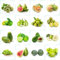 1505 pcs obst samen set - hochbeet balkon dachbegrünung obstsamen, deko pflanzen exotische gewächshaus balkon zimmerpflanzen spalierobst balkonpflanzen winterhart exotische früchte