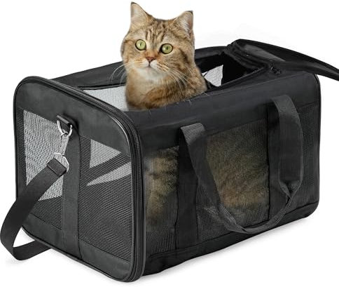 Conlun Katzenboxe Flugzeugtauglich, Weichseitige Hundetransportbox mit Innenleine, Transport für kleine bis mittelgroße Katzen und Welpen bis 7 kg, Zusammenklappbare Reisetasche -Schwarz,M