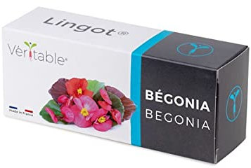 Lingot® Bégonia - Compatible Potager d'Intérieur Véritable® et Exky® - Recharge prête à l'emploi - Substrat avec Graines Intégrées…