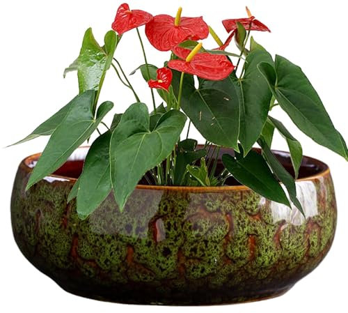 yupeuooe Fioriera bassa | Vaso idroponico, rotondo, leggero, in ceramica con bocca larga, per giardino, patio, balcone, serra