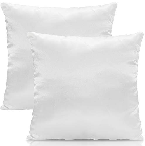 DILUMA | Füllkissen 30x30 cm - 2er Set | Mikrofaser Innenkissen mit 125g Füllung | waschbare & atmungsaktive Kissenfüllung für Dekokissen/Kopfkissen | Allergikergeeignet, ÖkoTex, Made in Europe