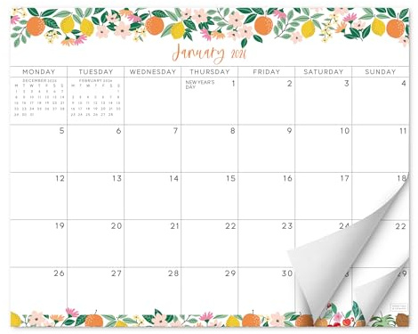 S&O Fruity Magnetic Fridge Calendar from January 2026-June 2027 - Tear-Off Refrigerator Calendar to Track Events & Appointments - 18 Month Magnetic Planner for Fridge for Easy Planning - 8x10 in.
