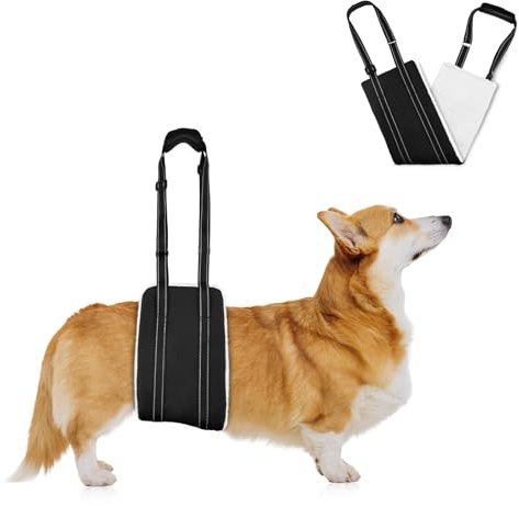 AOOHA Arnés para Perro Discapacitado, Arnes Perro Patas Traseras, Arnés Ajustable para Elevación, Apoyo, Esponjoso y Cómodo, para Apoyar a Perros Mayores, Heridos y Discapacitados