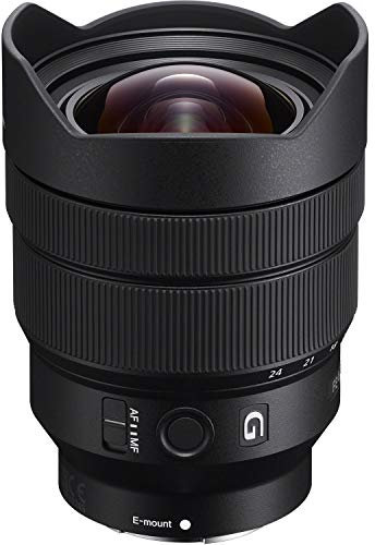 Sony - FE 12-24mm F4 G Wide-angle Zoom Lens (SEL1224G),Black