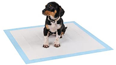 lionto Welpenunterlagen, 6-lagige Trainingspads für Hunde mit Klebestreifen, 50 Stück 60x60 cm, auslaufsicher und strapazierfähig Dank hoher Saugfähigkeit für kranke und inkontinente Tiere, blau/weiß