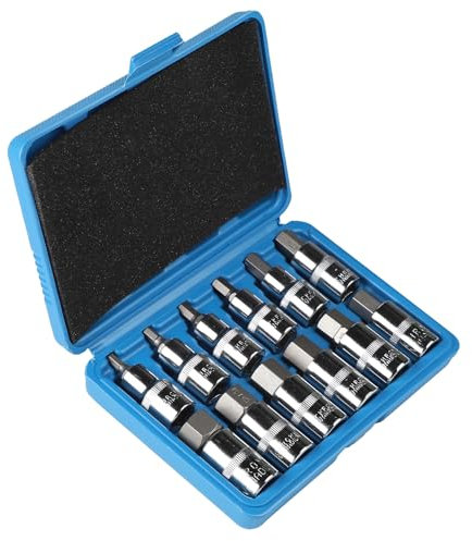 CPROSP Jeu de 12 Douilles Allen 1/2, Douilles Allen 5, 6, 7, 8, 10, 12, 14, 16, 17, 18, 19, 22 mm, 6 Pans Creux, Six Pans Extérieurs 1/2 avec Mallette en Plastique, Bleu