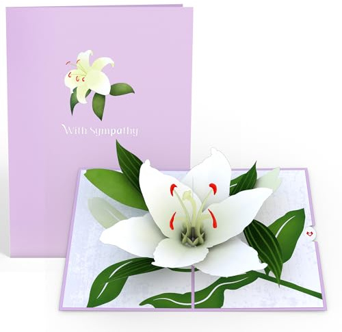 Lovepop Sympathy Pop-Up Card for Her and Him - 3D Greeting Cards for Boys, Girls, Men, Women - 5 x 7 Lily Card - Blank Note Card & Envelope Included