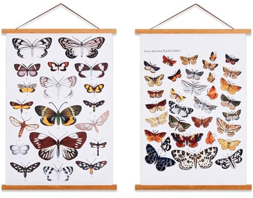 Ywlake Magnetiska affischramar, ljust trä affisch hängare hängare hängande kit för duk konstverk konsttryck (50 cm/19,7 tum, teak, 2-pack)